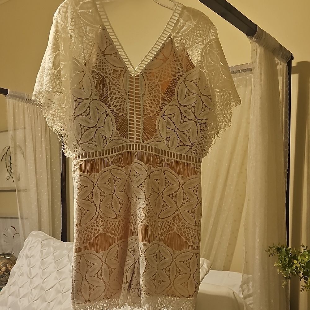 Elegant Lace Dress